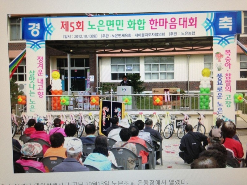 노은면민화합대회